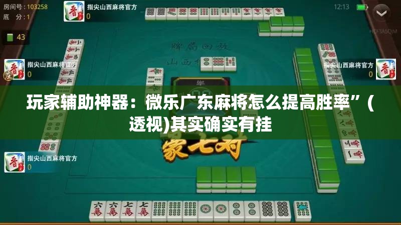 玩家辅助神器：微乐广东麻将怎么提高胜率	”(透视)其实确实有挂