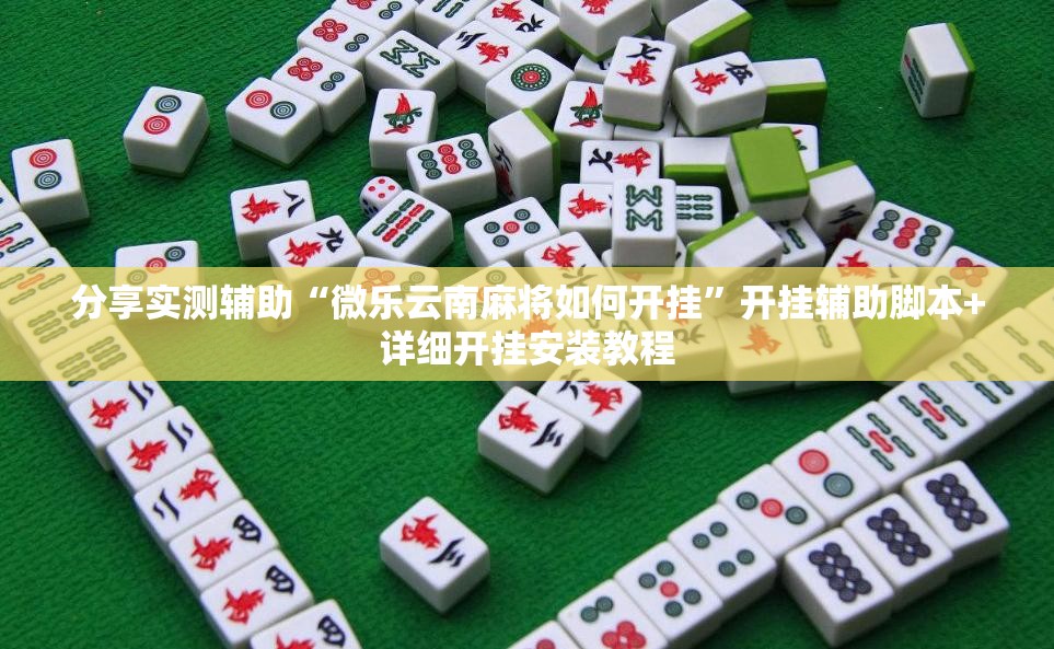 分享实测辅助“微乐云南麻将如何开挂”开挂辅助脚本+详细开挂安装教程