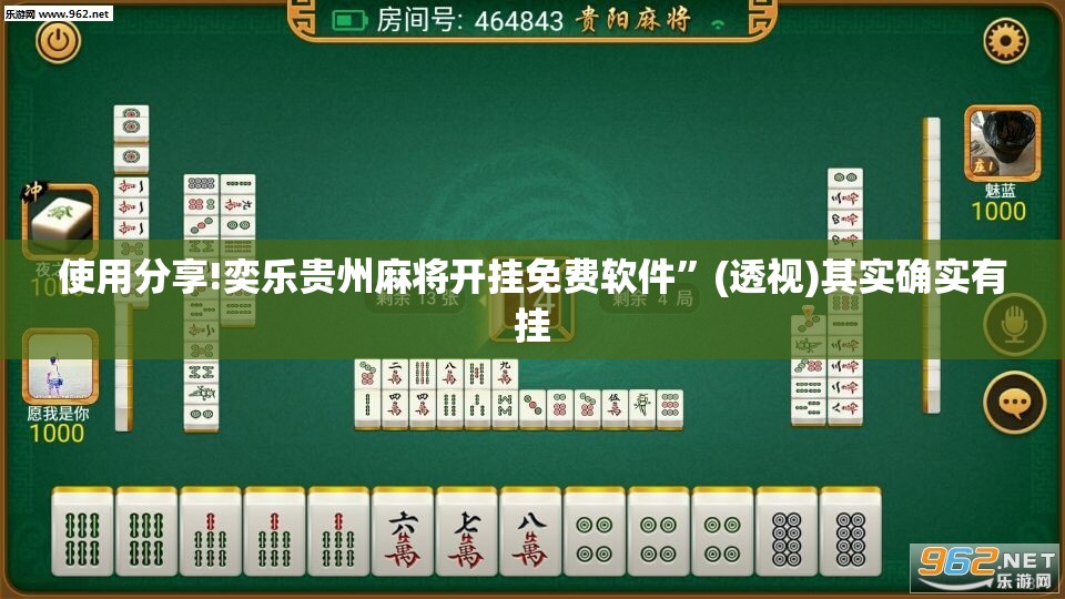 使用分享!奕乐贵州麻将开挂免费软件”(透视)其实确实有挂