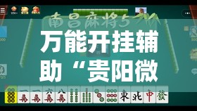 万能开挂辅助“贵阳微乐捉鸡麻将开挂辅助器通用版”2026开挂教程步骤