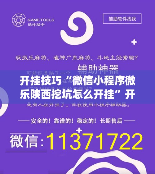 开挂技巧“微信小程序微乐陕西挖坑怎么开挂”开挂(透视)辅助教程