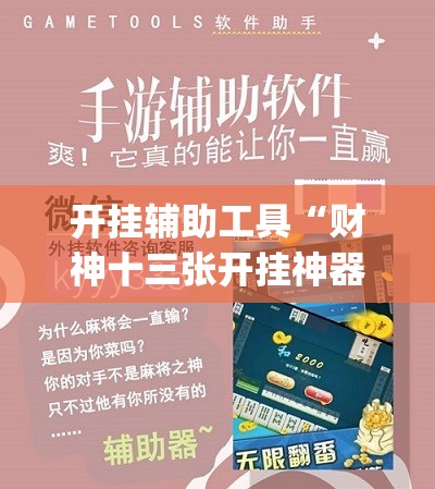 开挂辅助工具“财神十三张开挂神器(透视)	”开挂辅助脚本+详细开挂安装教程