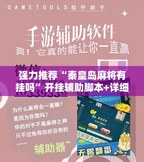 强力推荐“秦皇岛麻将有挂吗	”开挂辅助脚本+详细开挂安装教程