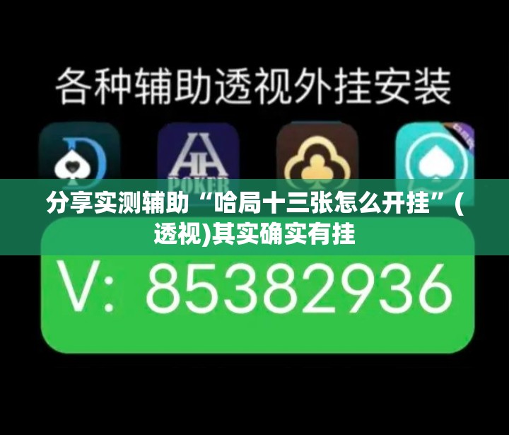 分享实测辅助“哈局十三张怎么开挂”(透视)其实确实有挂