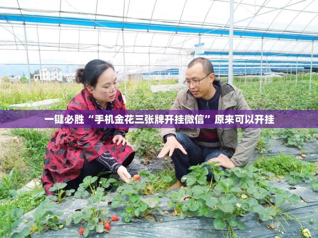 一键必胜“手机金花三张牌开挂微信	”原来可以开挂