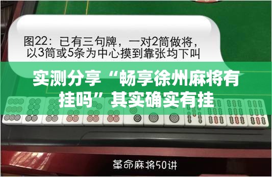 实测分享“畅享徐州麻将有挂吗	”其实确实有挂