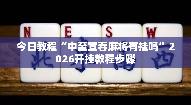今日教程“中至宜春麻将有挂吗”2026开挂教程步骤
