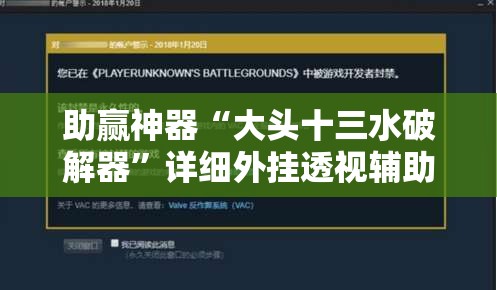助赢神器“大头十三水破解器”详细外挂透视辅助软件教程