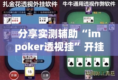 分享实测辅助“impoker透视挂	”开挂详细教程