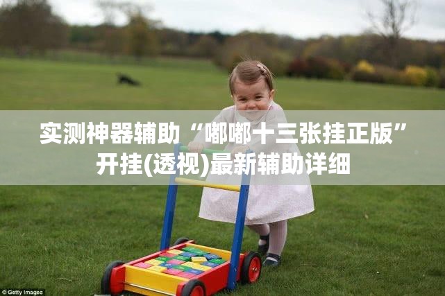 实测神器辅助“嘟嘟十三张挂正版”开挂(透视)最新辅助详细