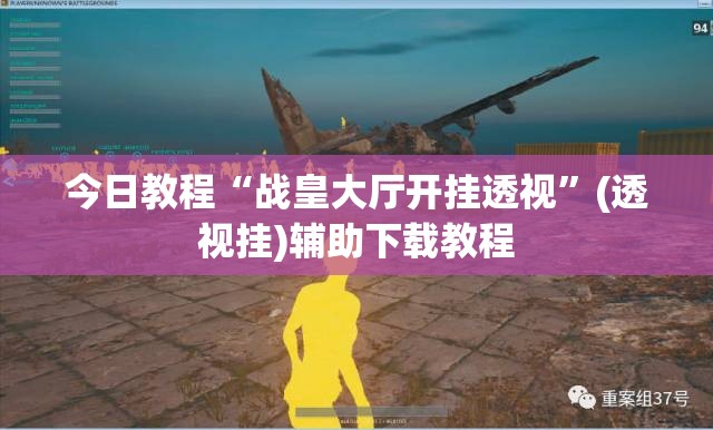 今日教程“战皇大厅开挂透视	”(透视挂)辅助下载教程