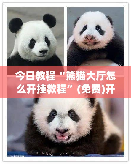 今日教程“熊猫大厅怎么开挂教程	”(免费)开挂辅助教学(最新辅助开挂教程)