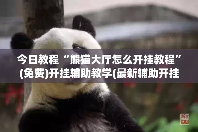今日教程“熊猫大厅怎么开挂教程”(免费)开挂辅助教学(最新辅助开挂教程)