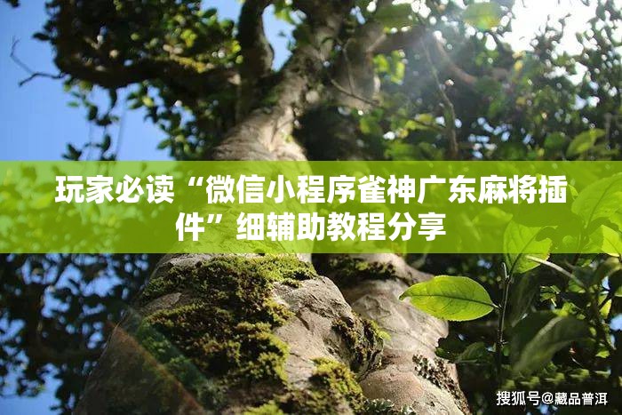 玩家必读“微信小程序雀神广东麻将插件	”细辅助教程分享