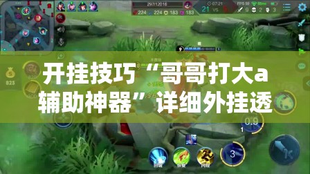 开挂技巧“哥哥打大a辅助神器	”详细外挂透视辅助软件教程