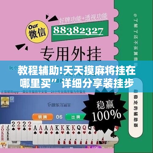 教程辅助!天天摸麻将挂在哪里买”详细分享装挂步骤