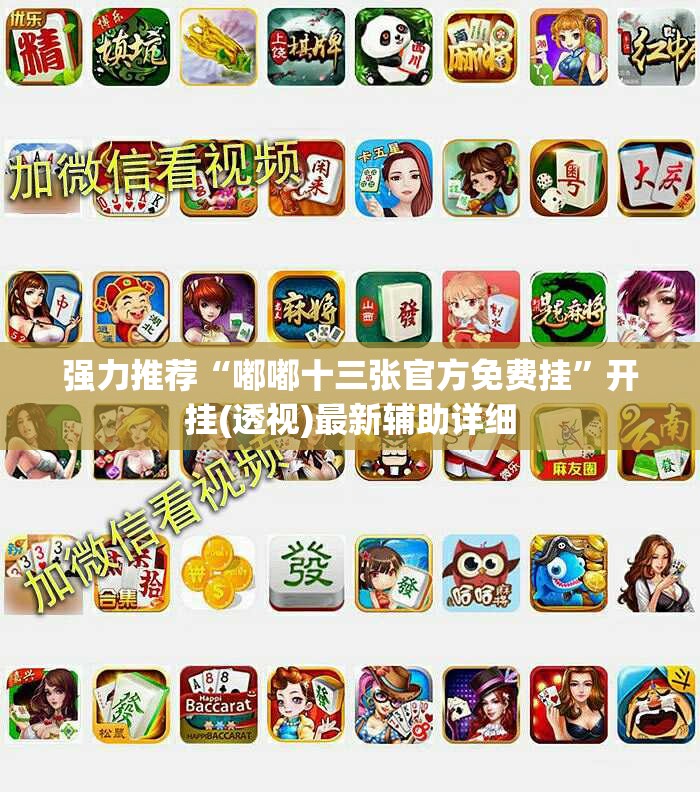 强力推荐“嘟嘟十三张官方免费挂”开挂(透视)最新辅助详细