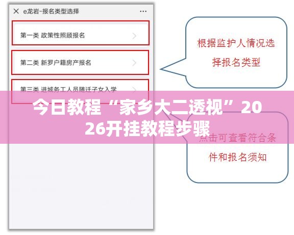 今日教程“家乡大二透视”2026开挂教程步骤