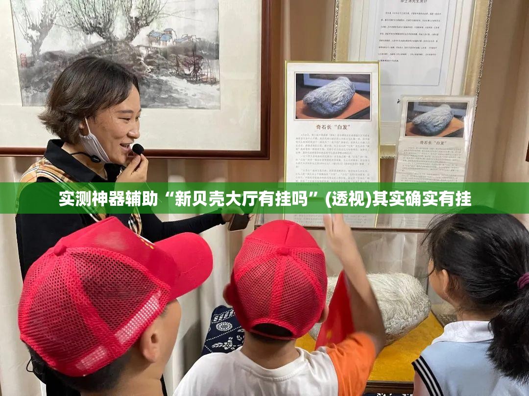 实测神器辅助“新贝壳大厅有挂吗”(透视)其实确实有挂