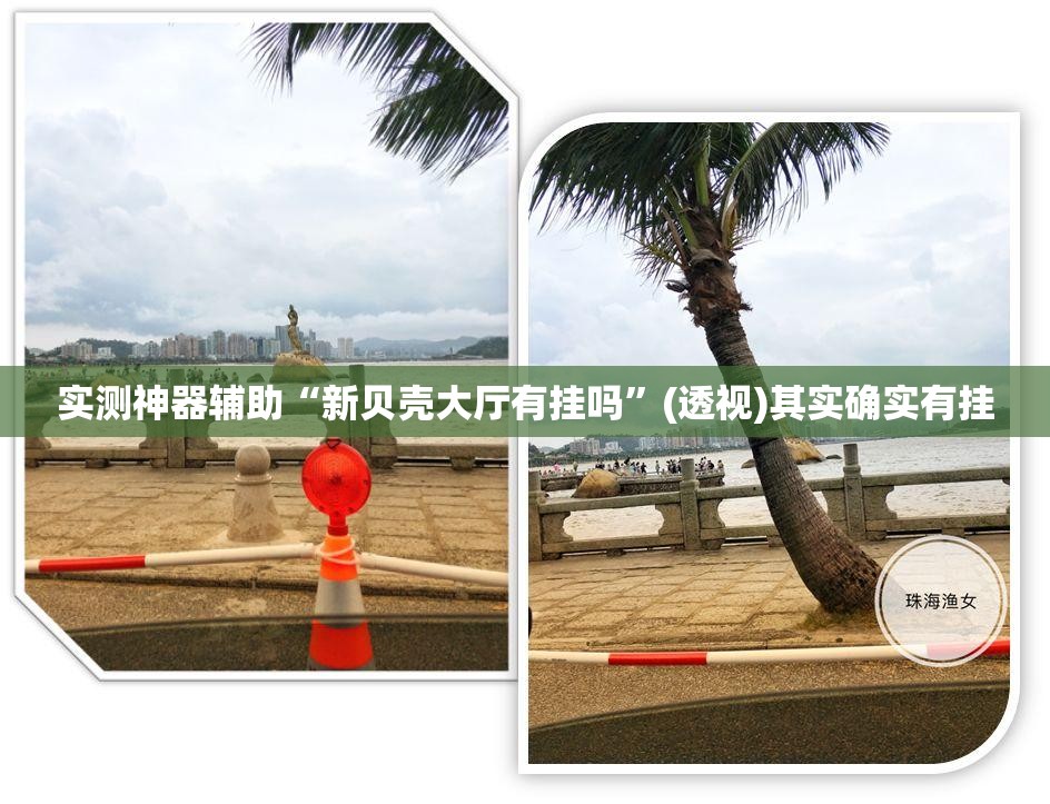 实测神器辅助“新贝壳大厅有挂吗	”(透视)其实确实有挂