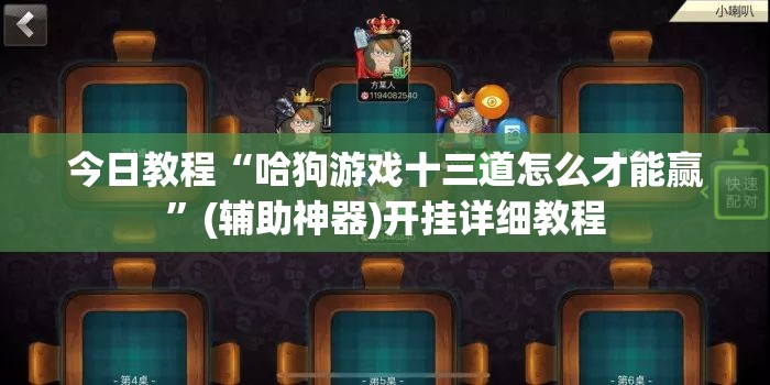 今日教程“哈狗游戏十三道怎么才能赢”(辅助神器)开挂详细教程
