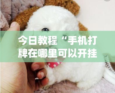 今日教程“手机打牌在哪里可以开挂”开挂(透视)辅助神器
