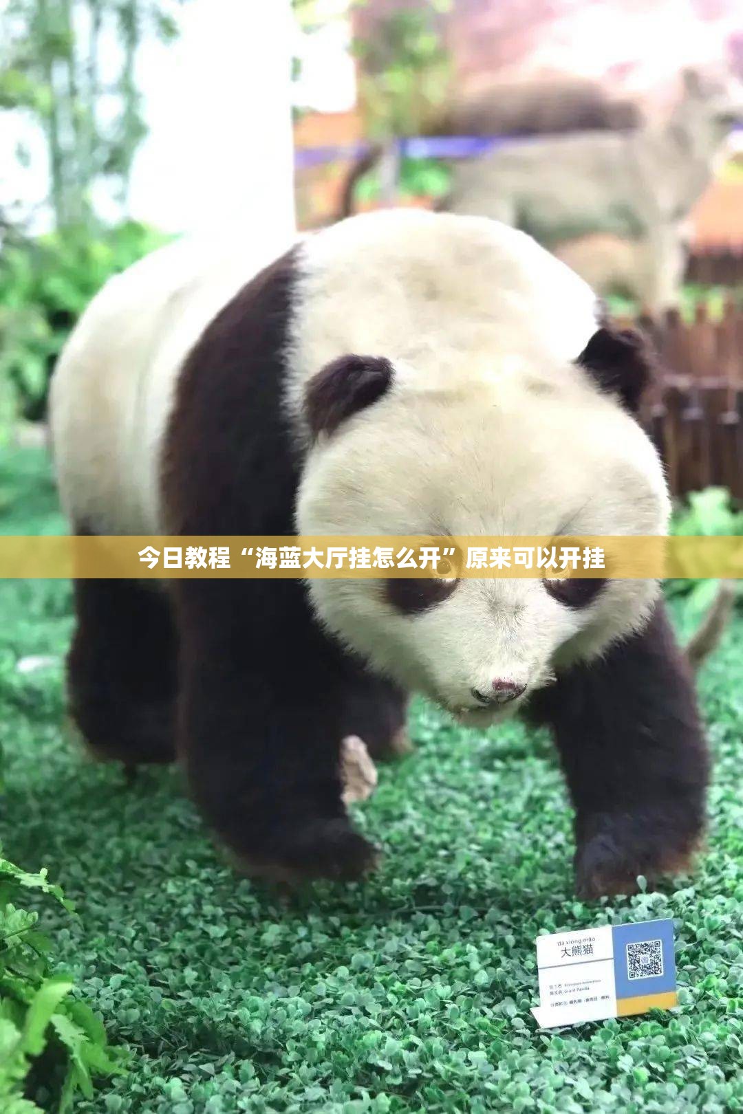 今日教程“海蓝大厅挂怎么开	”原来可以开挂