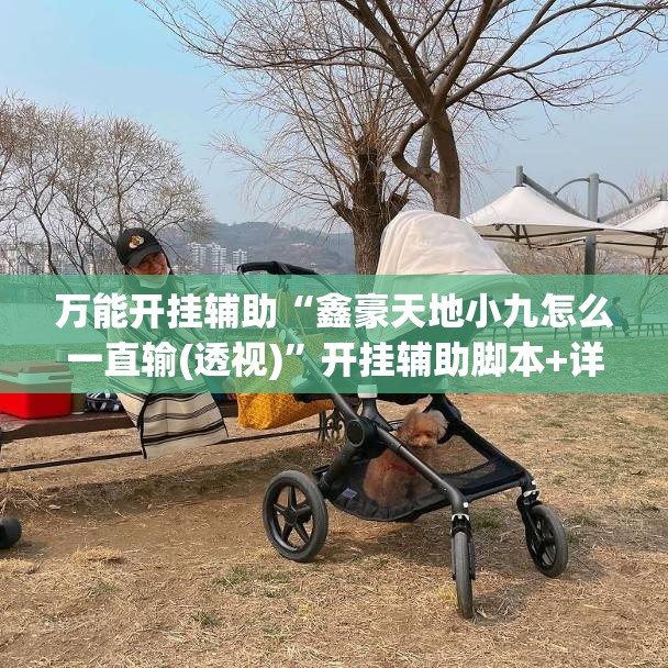 万能开挂辅助“鑫豪天地小九怎么一直输(透视)	”开挂辅助脚本+详细开挂安装教程