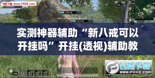 实测神器辅助“新八戒可以开挂吗”开挂(透视)辅助教程