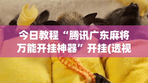 今日教程“腾讯广东麻将万能开挂神器”开挂(透视)辅助教程