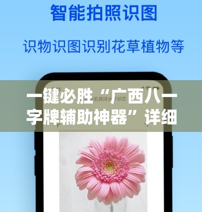 一键必胜“广西八一字牌辅助神器”详细开挂教程