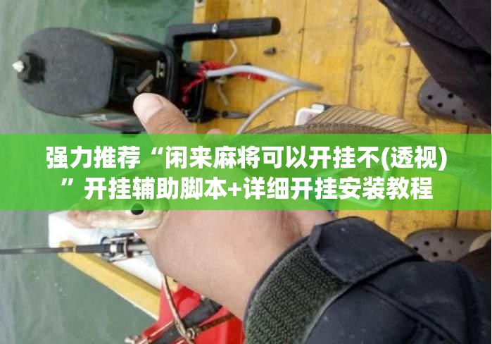 强力推荐“闲来麻将可以开挂不(透视)”开挂辅助脚本+详细开挂安装教程