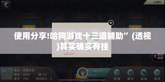 使用分享!哈狗游戏十三道辅助”(透视)其实确实有挂