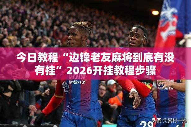 今日教程“边锋老友麻将到底有没有挂”2026开挂教程步骤