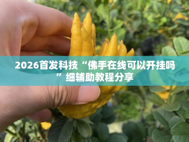 2026首发科技“佛手在线可以开挂吗”细辅助教程分享