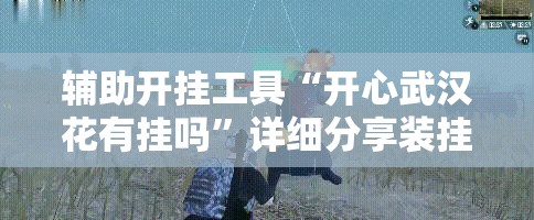 辅助开挂工具“开心武汉花有挂吗”详细分享装挂步骤