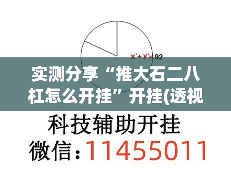 实测分享“推大石二八杠怎么开挂”开挂(透视)辅助教程