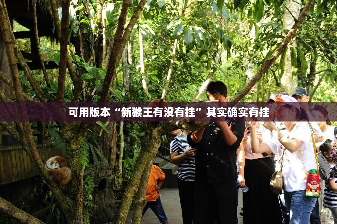 可用版本“新猴王有没有挂	”其实确实有挂