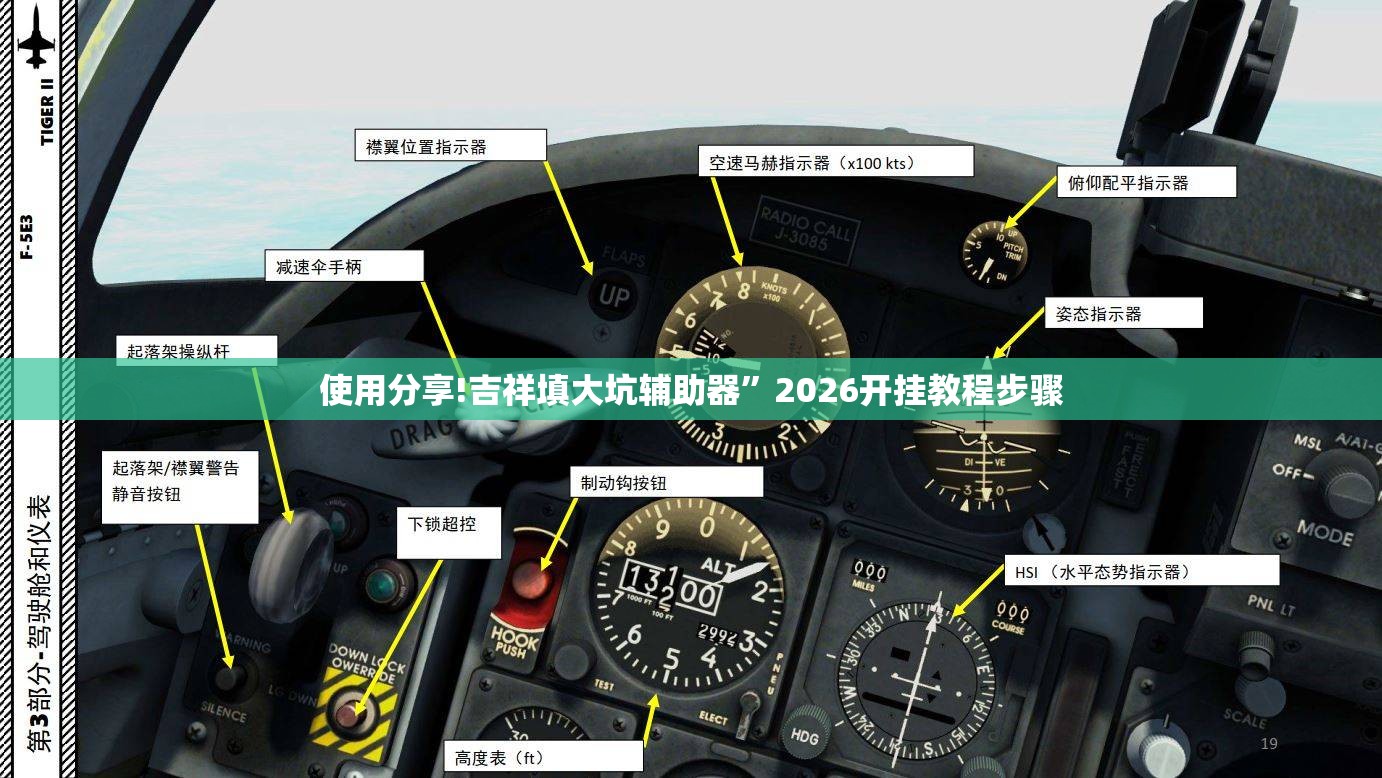 使用分享!吉祥填大坑辅助器”2026开挂教程步骤