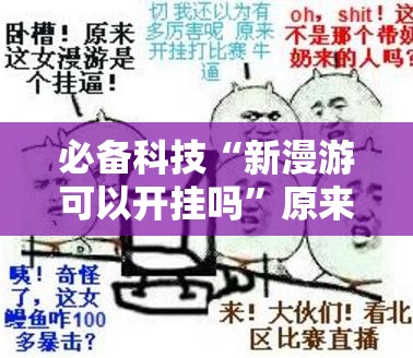 必备科技“新漫游可以开挂吗”原来可以开挂