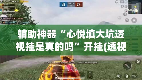 辅助神器“心悦填大坑透视挂是真的吗”开挂(透视)辅助教程