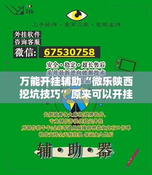 万能开挂辅助“微乐陕西挖坑技巧	”原来可以开挂