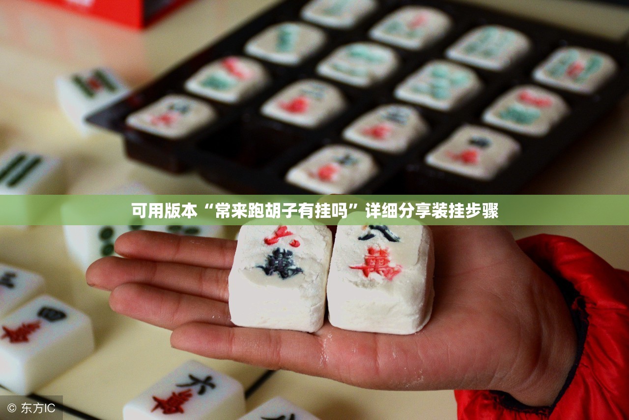 可用版本“常来跑胡子有挂吗”详细分享装挂步骤