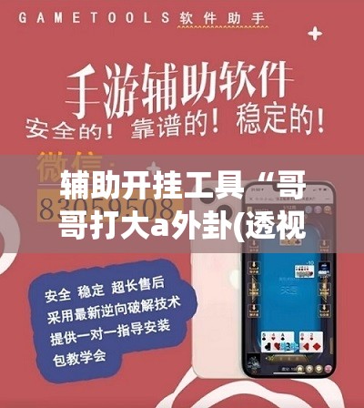 辅助开挂工具“哥哥打大a外卦(透视)”开挂辅助脚本+详细开挂安装教程