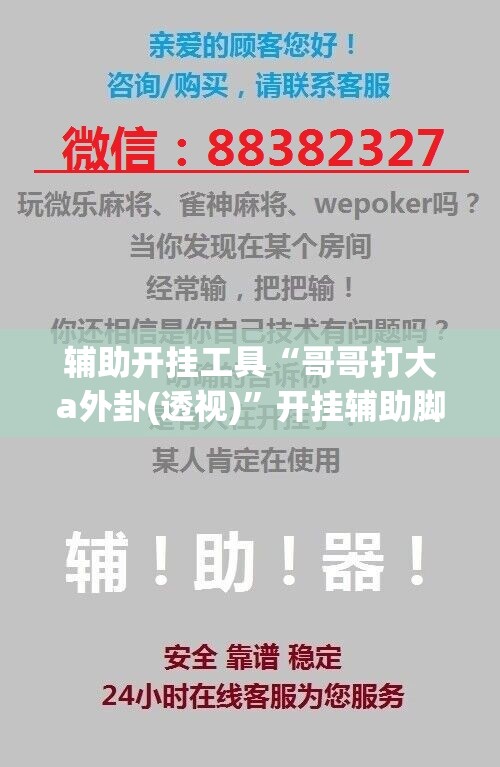 辅助开挂工具“哥哥打大a外卦(透视)”开挂辅助脚本+详细开挂安装教程