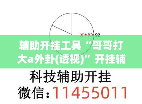 辅助开挂工具“哥哥打大a外卦(透视)”开挂辅助脚本+详细开挂安装教程