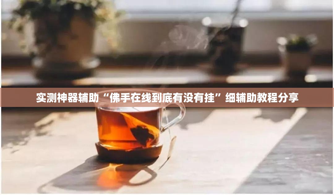 实测神器辅助“佛手在线到底有没有挂”细辅助教程分享