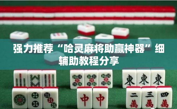 强力推荐“哈灵麻将助赢神器”细辅助教程分享