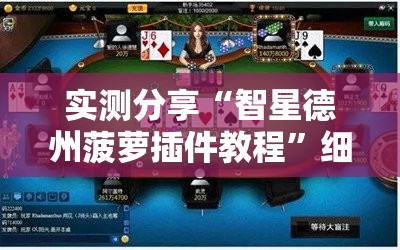 实测分享“智星德州菠萝插件教程”细辅助教程分享