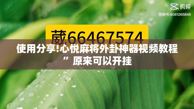 使用分享!心悦麻将外卦神器视频教程”原来可以开挂